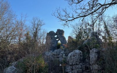 Balades dans le bois de Païolive : venez découvrir de nombreux sentiers pédestres